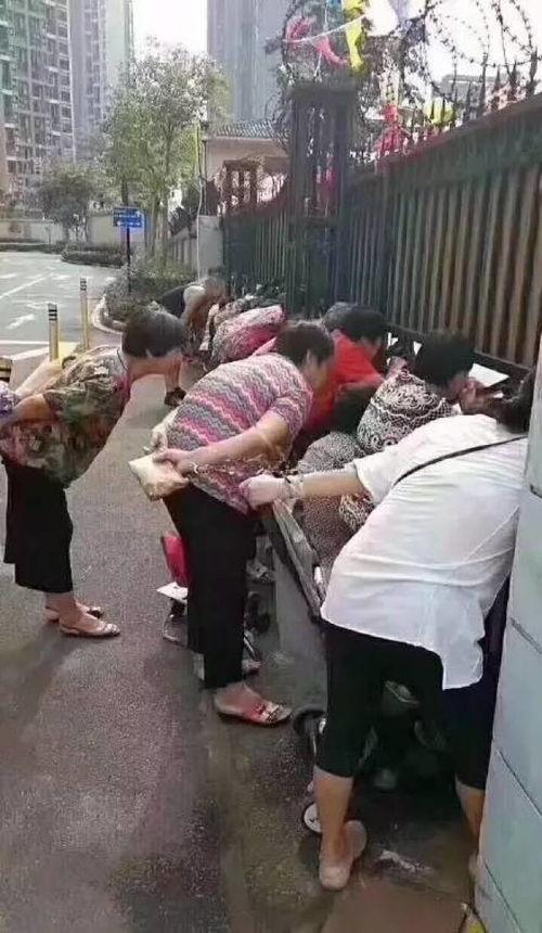 娱乐吃瓜酱人贩子是谁啊,网络迷雾中的神秘人物