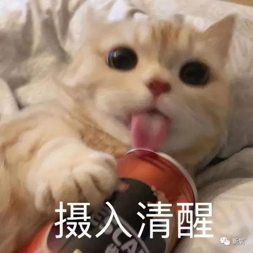 娱乐吃瓜酱不开心,吃瓜群众情绪高涨