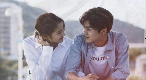 娱乐圈吃瓜网友小说,吃瓜网友的揭秘之旅