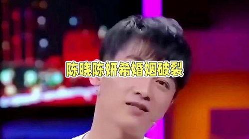 娱乐圈吃瓜陈晓,陈晓离婚事件引发热议