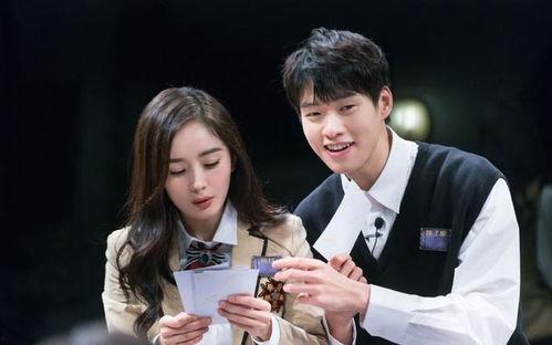 娱乐圈追星吃瓜,追星与吃瓜的狂欢世界