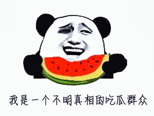 娱乐吃瓜戴手环的是谁,蔡依林小猪情侣手环，王菲谢霆锋默契应援，郭晶晶霍启刚甜蜜亮相”