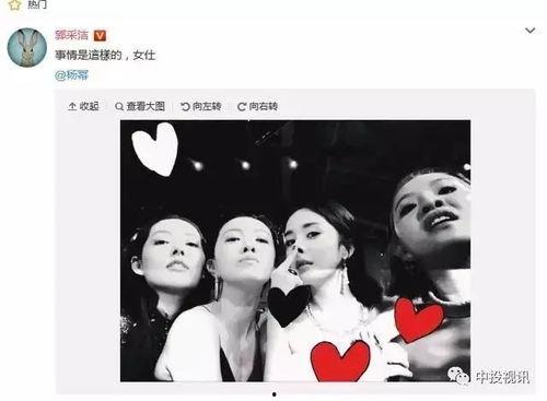 吃瓜娱乐圈杨幂图片,娱乐圈风云再起，揭秘明星背后的故事