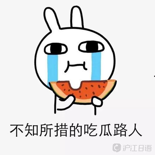 吃瓜娱乐圈的故事,娱乐圈幕后风云大揭秘