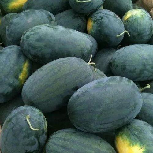 瓜家人在洛杉矶娱乐吃瓜号