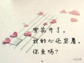 娱乐吃瓜酱伤感语录短句,娱乐吃瓜酱的内心独白